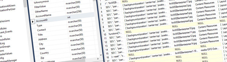 PlanningPME campi personalizzati